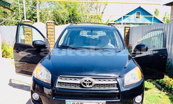 Buy Used Toyota RAV4 Black Car in Almaty in Almati