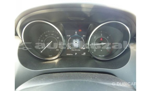 Buy Import Jaguar E-Pace White Car in Import - Dubai in Akmecet Buy Import Jaguar E-Pace White Car in Import - Dubai in Akmecet