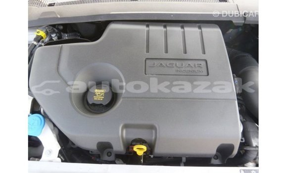 Buy Import Jaguar E-Pace White Car in Import - Dubai in Akmecet Buy Import Jaguar E-Pace White Car in Import - Dubai in Akmecet