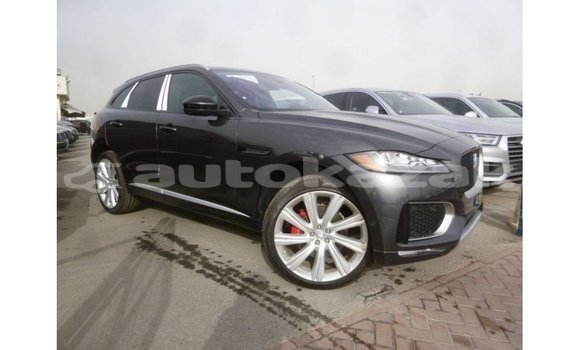 Buy Import Jaguar F-Type Black Car in Import - Dubai in Akmecet