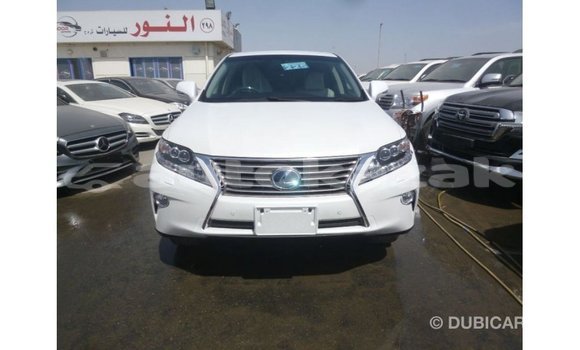 Buy Import Lexus RX White Car in Import - Dubai in Akmecet Buy Import Lexus RX White Car in Import - Dubai in Akmecet