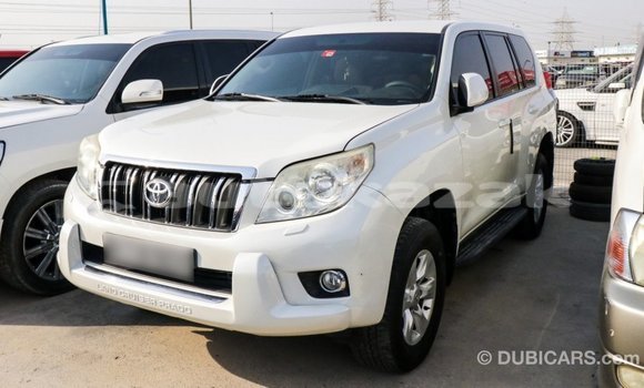 Buy Import Toyota Prado White Car in Import - Dubai in Akmecet Buy Import Toyota Prado White Car in Import - Dubai in Akmecet