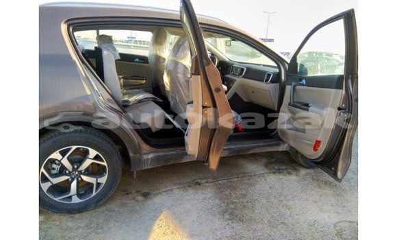 Buy Import Kia Sportage Brown Car in Import - Dubai in Akmecet Buy Import Kia Sportage Brown Car in Import - Dubai in Akmecet