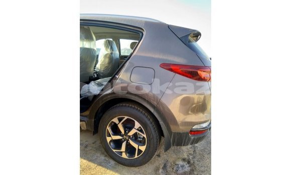 Buy Import Kia Sportage Brown Car in Import - Dubai in Akmecet Buy Import Kia Sportage Brown Car in Import - Dubai in Akmecet