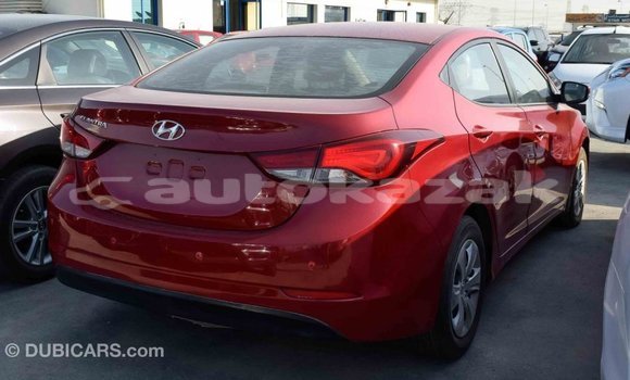 Buy Import Hyundai Elantra Red Car in Import - Dubai in Akmecet Buy Import Hyundai Elantra Red Car in Import - Dubai in Akmecet