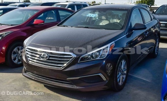 Buy Import Hyundai Sonata Brown Car in Import - Dubai in Akmecet Buy Import Hyundai Sonata Brown Car in Import - Dubai in Akmecet