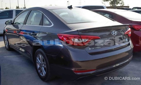 Buy Import Hyundai Sonata Brown Car in Import - Dubai in Akmecet Buy Import Hyundai Sonata Brown Car in Import - Dubai in Akmecet