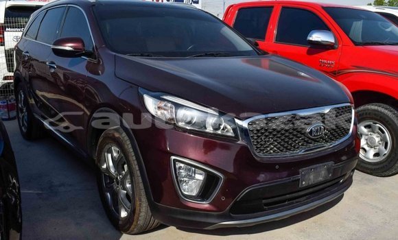Buy Import Kia Sorento Brown Car in Import - Dubai in Akmecet Buy Import Kia Sorento Brown Car in Import - Dubai in Akmecet