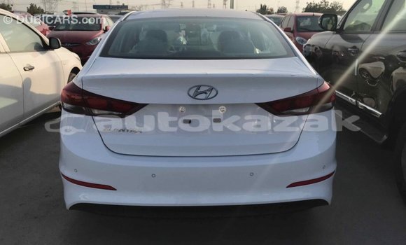 Buy Import Hyundai Elantra White Car in Import - Dubai in Akmecet Buy Import Hyundai Elantra White Car in Import - Dubai in Akmecet