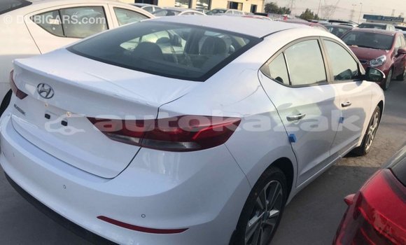 Buy Import Hyundai Elantra White Car in Import - Dubai in Akmecet Buy Import Hyundai Elantra White Car in Import - Dubai in Akmecet