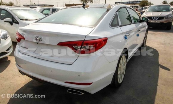 Buy Import Hyundai Sonata White Car in Import - Dubai in Akmecet Buy Import Hyundai Sonata White Car in Import - Dubai in Akmecet