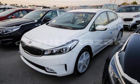 Buy Import Kia Cerato White Car in Import - Dubai in Akmecet Buy Import Kia Cerato White Car in Import - Dubai in Akmecet