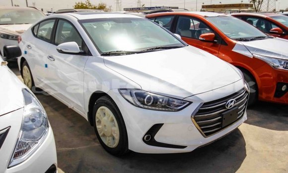 Buy Import Hyundai Elantra White Car in Import - Dubai in Akmecet Buy Import Hyundai Elantra White Car in Import - Dubai in Akmecet