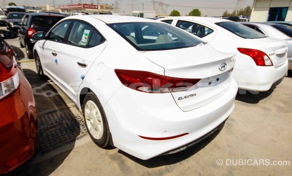 Buy Import Hyundai Elantra White Car in Import - Dubai in Akmecet Buy Import Hyundai Elantra White Car in Import - Dubai in Akmecet