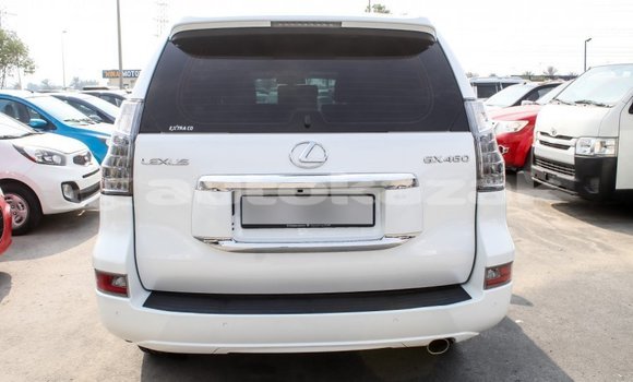 Buy Import Lexus GX White Car in Import - Dubai in Akmecet Buy Import Lexus GX White Car in Import - Dubai in Akmecet