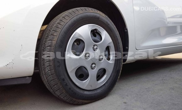 Buy Import Kia Picanto White Car in Import - Dubai in Akmecet Buy Import Kia Picanto White Car in Import - Dubai in Akmecet