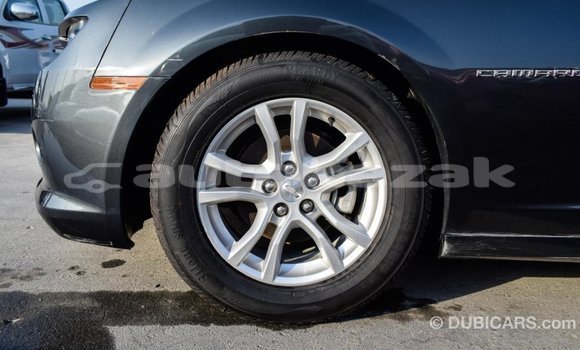 Buy Import Chevrolet Camaro Other Car in Import - Dubai in Akmecet Buy Import Chevrolet Camaro Other Car in Import - Dubai in Akmecet