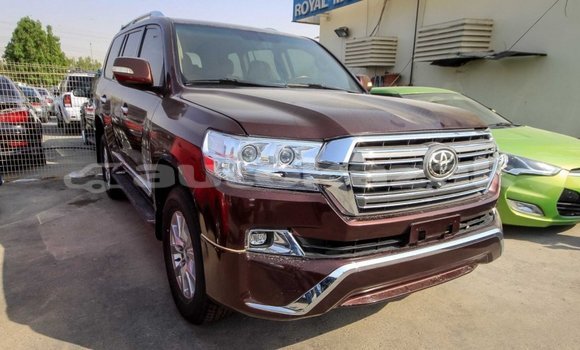 Buy Import Toyota Land Cruiser Brown Car in Import - Dubai in Akmecet Buy Import Toyota Land Cruiser Brown Car in Import - Dubai in Akmecet