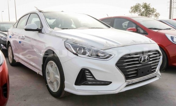 Buy Import Hyundai Sonata White Car in Import - Dubai in Akmecet Buy Import Hyundai Sonata White Car in Import - Dubai in Akmecet