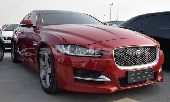 Buy Import Jaguar XE Red Car in Import - Dubai in Akmecet