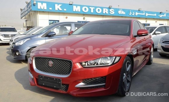 Buy Import Jaguar XE Red Car in Import - Dubai in Akmecet Buy Import Jaguar XE Red Car in Import - Dubai in Akmecet