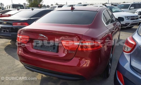 Buy Import Jaguar XE Red Car in Import - Dubai in Akmecet Buy Import Jaguar XE Red Car in Import - Dubai in Akmecet