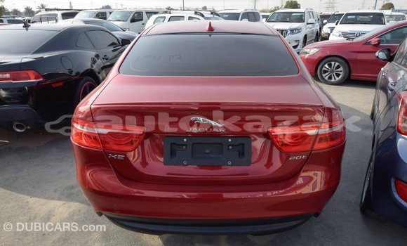 Buy Import Jaguar XE Red Car in Import - Dubai in Akmecet Buy Import Jaguar XE Red Car in Import - Dubai in Akmecet