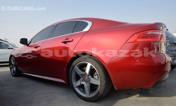 Buy Import Jaguar XE Red Car in Import - Dubai in Akmecet Buy Import Jaguar XE Red Car in Import - Dubai in Akmecet