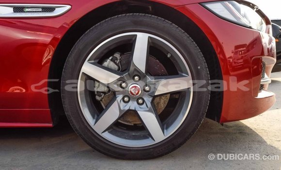 Buy Import Jaguar XE Red Car in Import - Dubai in Akmecet Buy Import Jaguar XE Red Car in Import - Dubai in Akmecet