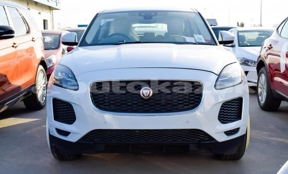 Buy Import Jaguar E-Pace White Car in Import - Dubai in Akmecet Buy Import Jaguar E-Pace White Car in Import - Dubai in Akmecet