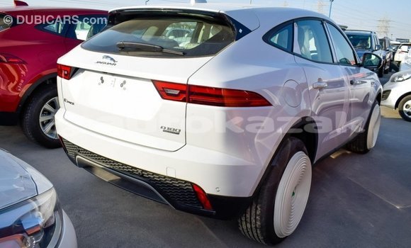 Buy Import Jaguar E-Pace White Car in Import - Dubai in Akmecet Buy Import Jaguar E-Pace White Car in Import - Dubai in Akmecet