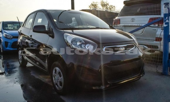 Buy Import Kia Picanto Black Car in Import - Dubai in Akmecet Buy Import Kia Picanto Black Car in Import - Dubai in Akmecet