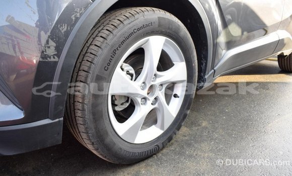 Buy Import Toyota C-HR Other Car in Import - Dubai in Akmecet Buy Import Toyota C-HR Other Car in Import - Dubai in Akmecet