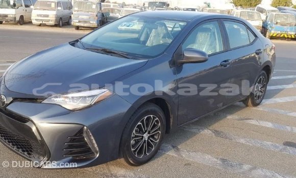 Buy Import Toyota Corolla Other Car in Import - Dubai in Akmecet Buy Import Toyota Corolla Other Car in Import - Dubai in Akmecet