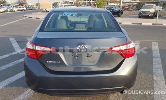 Buy Import Toyota Corolla Other Car in Import - Dubai in Akmecet Buy Import Toyota Corolla Other Car in Import - Dubai in Akmecet