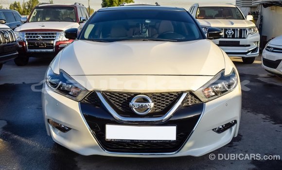 Buy Import Nissan Maxima White Car in Import - Dubai in Akmecet Buy Import Nissan Maxima White Car in Import - Dubai in Akmecet