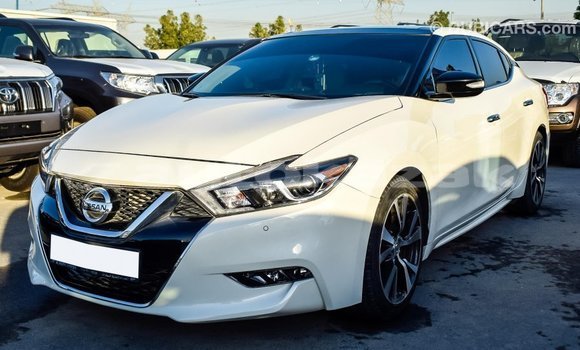 Buy Import Nissan Maxima White Car in Import - Dubai in Akmecet Buy Import Nissan Maxima White Car in Import - Dubai in Akmecet
