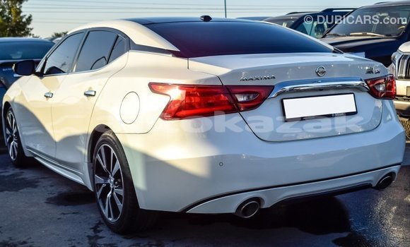Buy Import Nissan Maxima White Car in Import - Dubai in Akmecet Buy Import Nissan Maxima White Car in Import - Dubai in Akmecet