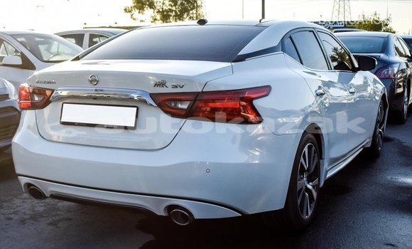 Buy Import Nissan Maxima White Car in Import - Dubai in Akmecet Buy Import Nissan Maxima White Car in Import - Dubai in Akmecet