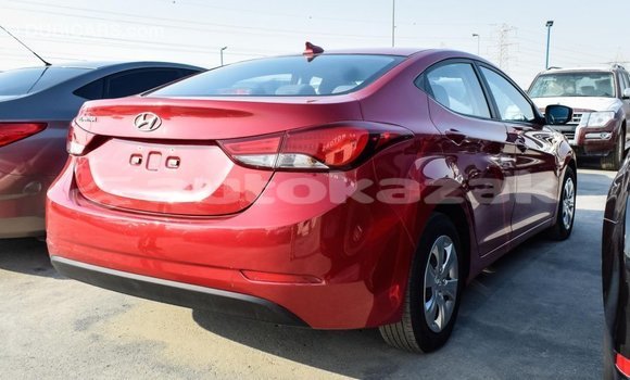 Buy Import Hyundai Elantra Red Car in Import - Dubai in Akmecet Buy Import Hyundai Elantra Red Car in Import - Dubai in Akmecet