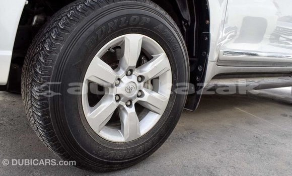 Buy Import Toyota Prado Other Car in Import - Dubai in Akmecet Buy Import Toyota Prado Other Car in Import - Dubai in Akmecet