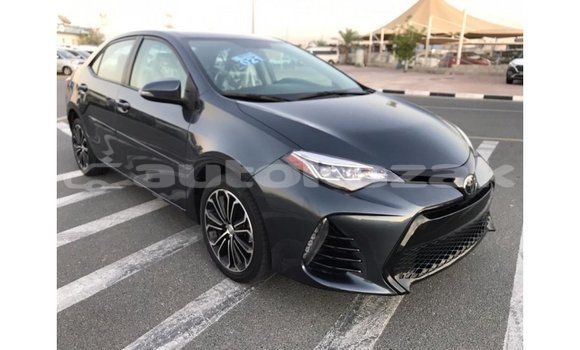 Buy Import Toyota Corolla Other Car in Import - Dubai in Akmecet Buy Import Toyota Corolla Other Car in Import - Dubai in Akmecet