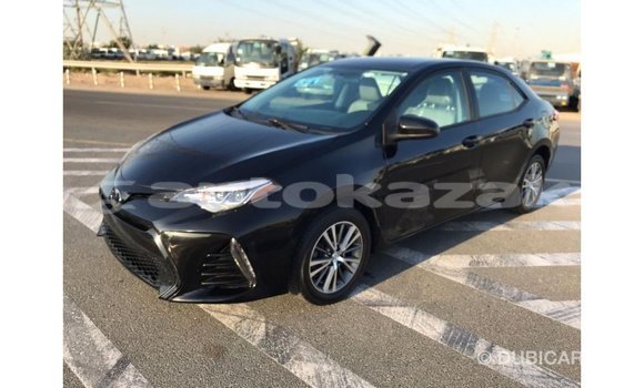 Buy Import Toyota Corolla Black Car in Import - Dubai in Akmecet Buy Import Toyota Corolla Black Car in Import - Dubai in Akmecet