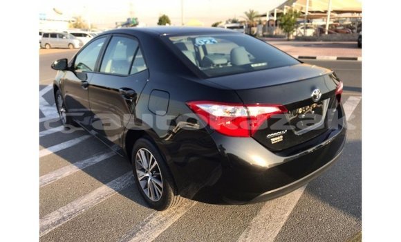 Buy Import Toyota Corolla Black Car in Import - Dubai in Akmecet Buy Import Toyota Corolla Black Car in Import - Dubai in Akmecet