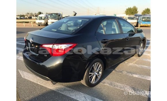Buy Import Toyota Corolla Black Car in Import - Dubai in Akmecet Buy Import Toyota Corolla Black Car in Import - Dubai in Akmecet