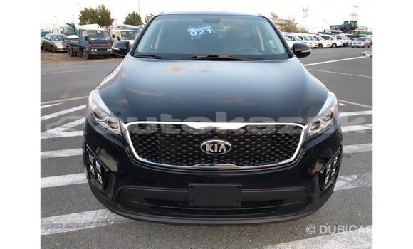 Buy Import Kia Sorento Black Car in Import - Dubai in Akmecet Buy Import Kia Sorento Black Car in Import - Dubai in Akmecet