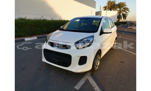 Buy Import Kia Picanto White Car in Import - Dubai in Akmecet Buy Import Kia Picanto White Car in Import - Dubai in Akmecet