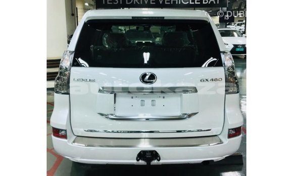 Buy Import Lexus GX White Car in Import - Dubai in Akmecet Buy Import Lexus GX White Car in Import - Dubai in Akmecet
