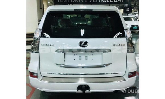Buy Import Lexus GX White Car in Import - Dubai in Akmecet Buy Import Lexus GX White Car in Import - Dubai in Akmecet
