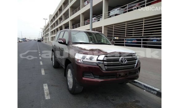 Buy Import Toyota Land Cruiser Brown Car in Import - Dubai in Akmecet Buy Import Toyota Land Cruiser Brown Car in Import - Dubai in Akmecet